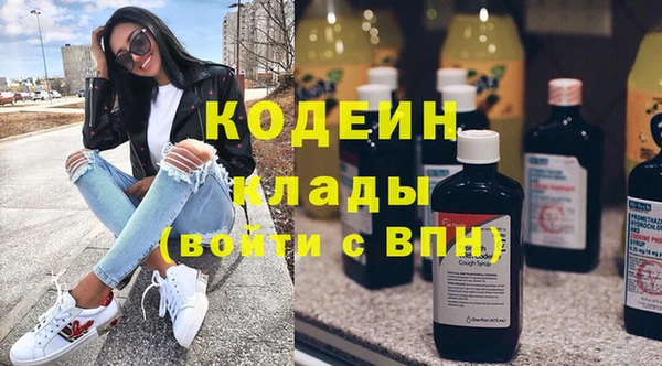 твердый Козельск