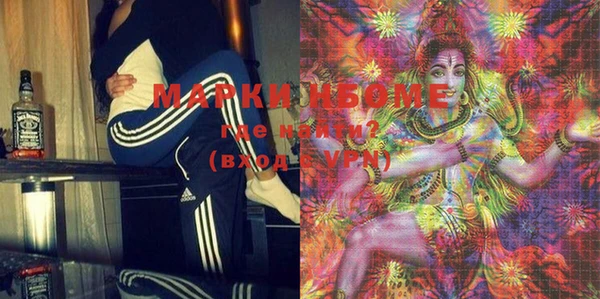 шишки Киренск
