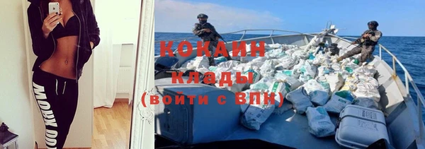 шишки Киренск