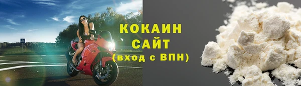 шишки Киренск