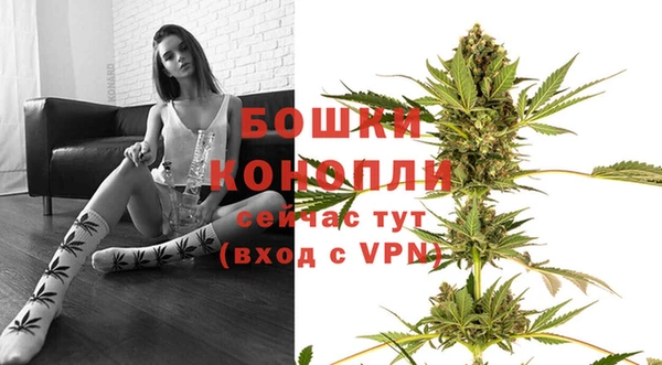 шишки Киренск
