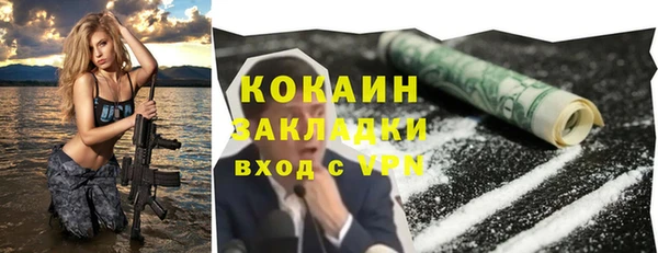 шишки Киренск