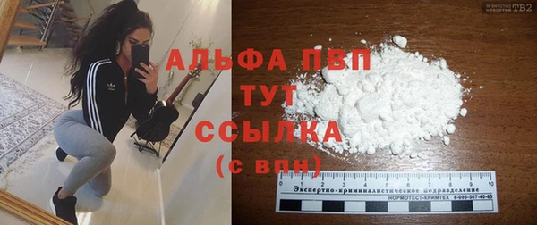 шишки Киренск